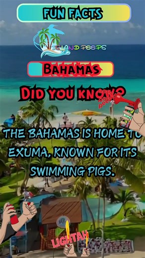 The Bahamas is famous for Exuma’s swimming pigs