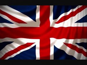 Mechanized Infantry.LIGHT DIVISION