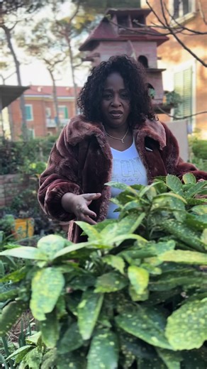 Exploring African Cultural Roots in Cuban Traditions