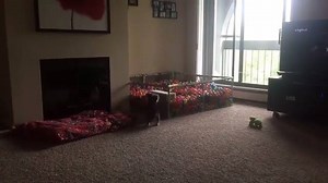 This guy seems to be enjoying himself! | Rumble