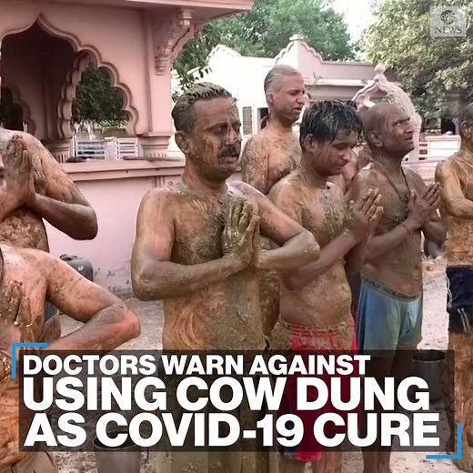 NOT A COVID CURE: People in one part of India are covering themselves in cow dung and urine as they believe it protects them from COVID-19. Yet doctors proclaim there is no scientific evidence. https://abcn.ws/39iwkWk | ABC News