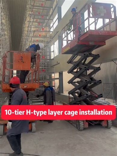 Explore Our Advanced 10-Tier Layer Cage System for Poultry
