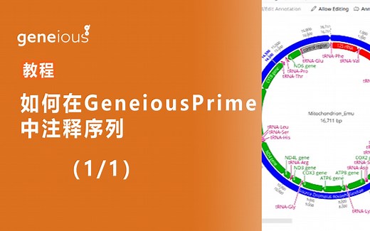 如何在Geneious Prime中注释序列
