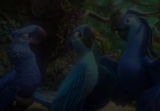 Rio Songs Compilation - Beautiful Creatures, Singing Birds, and More!