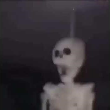 Skeleton hanging on the fan (MEME)