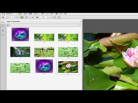 How to create PDF slide show presentation by using adobe acrobat pro