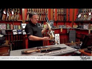 Daystate Wolverine 2 - Air Rifle Review