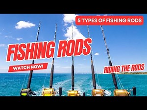 5 Types of Fishing Rods and When to Use Them