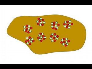 Knotweed Experiment: Cutting Knotweed Stems to Draw Herbicide from Injected Stems