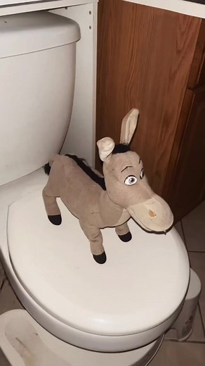 It’s been a long slumber