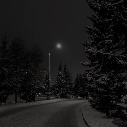 Exploring SoundCloud: A Platform for Musicians