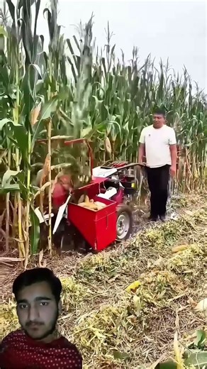 Hand-Push Corn Harvester: Compact and efficient for easy corn harvesting!