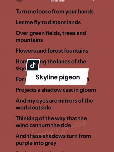 Skyline Pigeon Lyrics by Elton John on Spotify