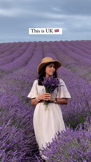Shweta ~ Travel Creator |📍LONDON (UK) on Instagram: "Must visit Lavender fields in the UK 🇬🇧 1 hour from London! The picturesque landscape of lavender fields stretching as far as the eye can see offers a breathtaking sight and it honestly left me spellbound. The aroma of fresh lavender fills the air and provides a delightful sensory experience you cannot miss. 📍Hitchin Lavender @hitchinlavender 🚊How to get there from London? ⤵️ Take a train (Great Northern) from St Pancras International/ Ki