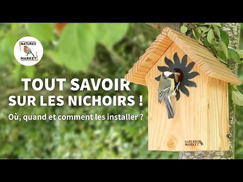 TOUT savoir sur les nichoirs à oiseaux – Installation complète !