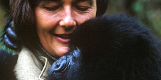 Dian Fossey: Conservationist in the Mist