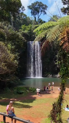 Summer days on the #AthertonTablelands are made for chasing waterfalls. 💦🌿🚗 Who has checked the Waterfall Circuit off their must do list? 📍 Millaa Millaa Falls 🎥 IG/mattiamaggiocarluccio via Australia.com #athertontablelands #exploretnq #visitqueensland #seeaustralia Visit Queensland, Australia Tropical North Queensland | Discover Atherton Tablelands