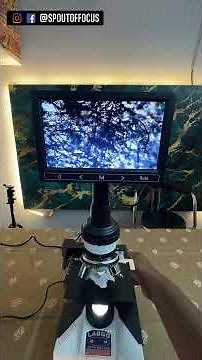 This Digital Microscope Will Shock You! 🤯🔬 #outoffocus