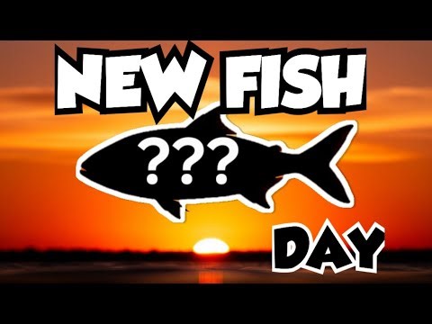 Getting NEW FISH for my fish breeding program!!