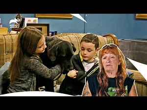 BIG Family Ready To Welcome This Adopted Dog | Pit Bulls & Parolees S8 E1–E3 | Animal Planet