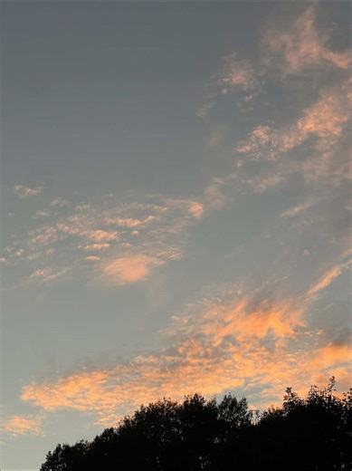 unlearning, reprogramming, and remembering all at once 🌊 Listening to “Ceremony” audiobook by Brianna Wiest The world is a reflection of whatever you believe it to be🪞 I choose to feed my brain the thoughts & beliefs I desire to hold. It's not easy, but it is simple. Take a breath and keep swimming 💛 #mikaylathorn