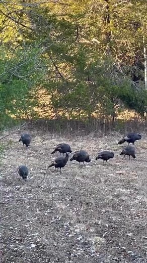 Marcus Payne on Reels