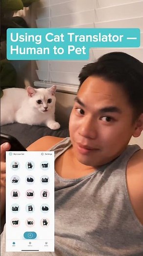 Using CAT TRANSLATOR - Human to Pet.