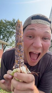 131K views · 3.5K reactions | I didn’t actually think rainbow corn existed but here it is | Hayden Fox | Facebook