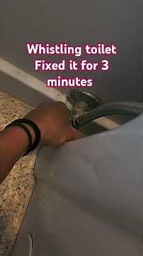 Have you ever heard of a whistling toilet? Well, it only took me 3 minutes to fix it.