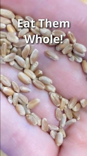 Don’t Have to Grind Wheat Berries