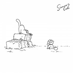 1.5M views · 44K reactions | Simon's Cat channeling his inner Romeo like...    Does your cat have a 'love interest'? | Simon's Cat | Facebook