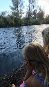 3K views · 438 reactions | Salmon returning to Northern CA has been...