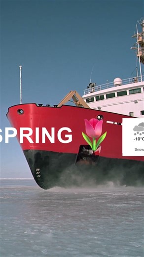 The return of spring... in Canada 😵‍💫 (Please, weather make up your mind!!! 🙏) #nfb