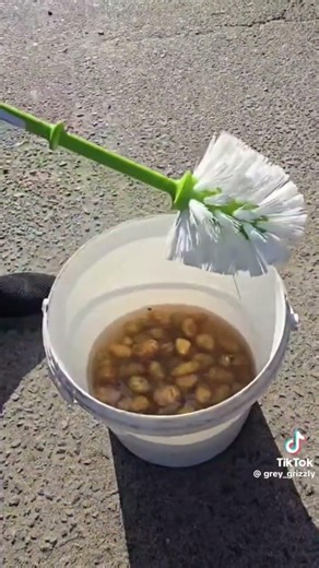 Check out this life hack: The right way to peel new potatoes 😳🤣🤣 #life