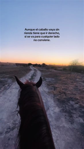 𝓓𝓪𝔂 (@dayannavalles23)’s video of cavalli