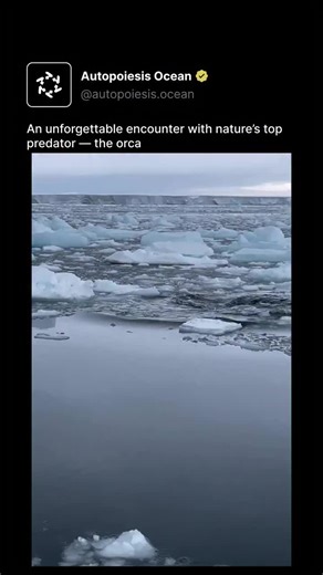 In the early 1960s, NASA was exploring the ocean… but then they suddenly stopped and shifted their focus to space and finding another home outside Earth. Why did they quit diving into the deep?\\nWhat did they find that scared them away?\\nEven now, less than 5% of the ocean has been explored. I’m here to show you the darkest, creepiest secrets hiding in the depths. Things so scary, they make space look safe.\\n\\n#ocean #OceanSecrets #DeepSeaMystery #explore #octopus