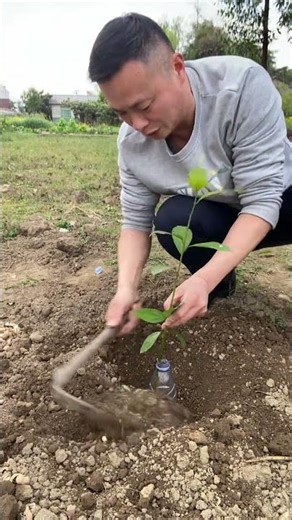 #Top trending#If I don t laugh after watching it I ll consider myself a loser#Funny#Funny