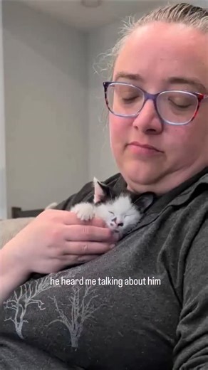FosterBabyCats on Instagram: ""whad I chomp??" #BabyCats #BottleBabyKitten #KittensOfInstagram #OrphanKitten #tuxedokitten"