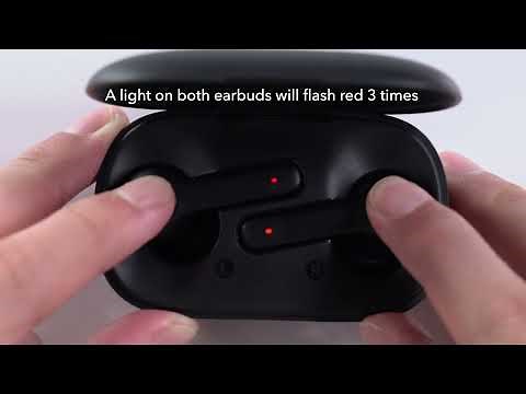 How to reset Life P2 | soundcore Support