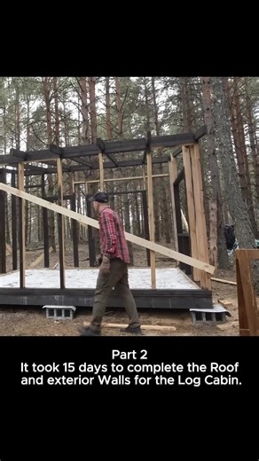 Building a Log Cabin: 15 Days for Roof and Walls