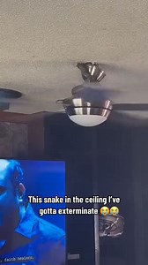 Not the fan 😭 | Lauren Lake