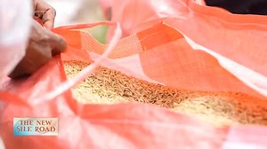 15 reactions | Bilateral trade volume between Cambodia and China exceeded the $10 billion mark two years ahead of schedule. Cambodian agricultural products, including bananas, mangoes and rice , have found a place on the tables of Chinese consumers. #BELTANDROAD #SILKROAD | CGTN China24 | Facebook