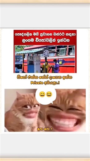 #funny #funnyvideos 😆😄#shortsviral #memes