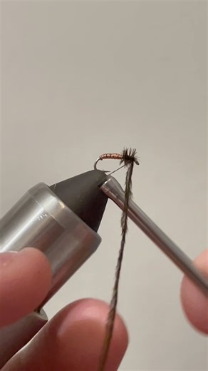Tying a Brassie