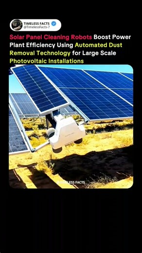 Solar Panel Cleaning Robots That Maximize Energy Output