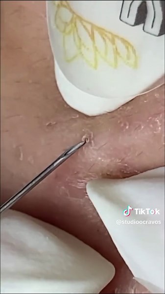 Studio Cravos no TikTok