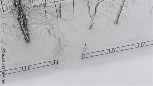 snowing outside. shooting from window, an overhead view of the snowfall. trees and houses are covered with white layer of snow. winter, seasonal precipitation in cold season. waiting for the birth.