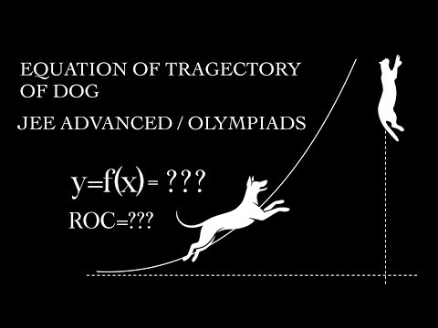 DOG EQUATION OF TRAJECTORY | PURSUIT PROBLEM 4 | JEE ADV / OLYMPIADS