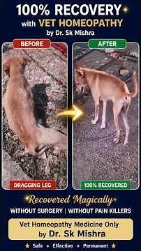 Paralysed Puppy Se Normal Walk Tak 🐶 Real Spinal Injury Recovery | Dr. S. K. Mishra