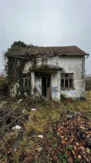 Transforming an Abandoned House into a Cozy Home